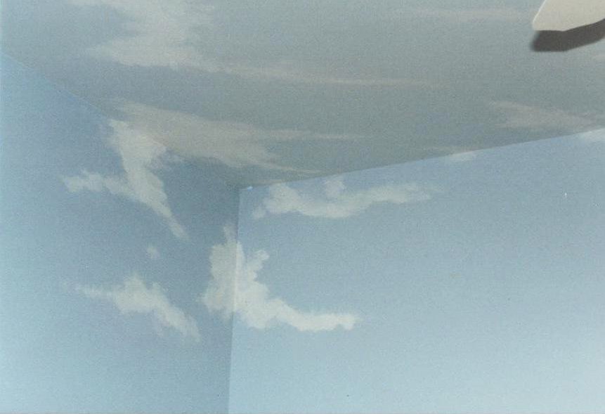 I am a Cloudscape faux finish designed to simulate clouds on your ceiling.