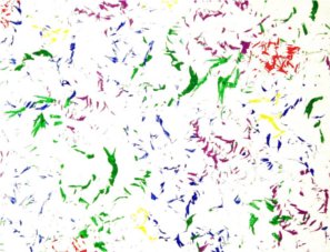 I'm a medium feather in red, orange, yellow, green, blue and purple over a white background.