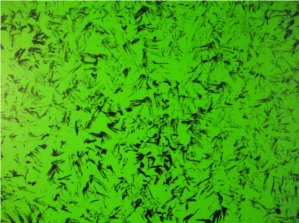 I'm a black feather medium-heavy over a neon green background.