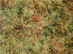 I am created by combining a sponging technique in many colors and a feathering technique.