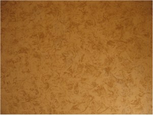 Pictures must be seen to get full suziepaints.com experience!