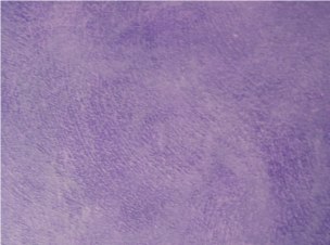 Pictures must be seen to get full suziepaints.com experience!