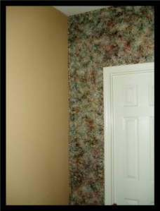 A multi-color sponge faux used as an
                          accent wall.